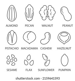 Nuts and seeds icon set. Cartoon line icons, isolated vector clip art illustration.