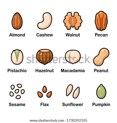 Nuts and seeds icon set. Cartoon color icons, isolated vector clip art illustration.