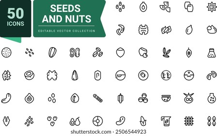 Nuts and seeds icon set. Includes almond, sesame seeds, coffee beans, macadamia. Pixel perfect, minimalistic web and UI icon. Outline icon collections.