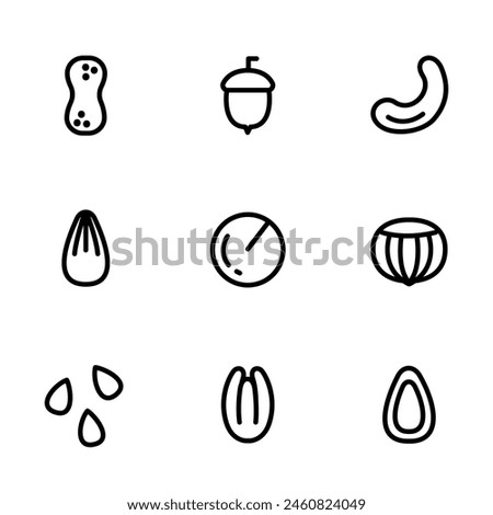 Nuts and seeds icon set. Peeled nuts isolated on white. Vector illustration of healthy food in outline style. Set of almond, macadamia, brazil nut, hazelnut, peanut, walnut, pecan and pistachio.