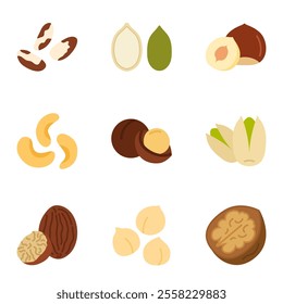 Nuts and Seeds icon set. Pictogram isolated on a white background. Vector illustration.
