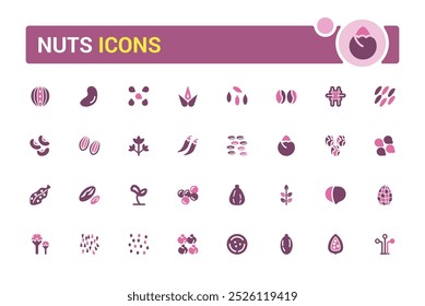 Nuts, seeds icon set. Solid two tone color style icons. Plant based diet ingredients. Solid Nuts icon collection. 