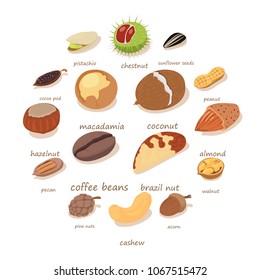 Nuts and seeds icons set. Isometric illustration of 16nNuts and seeds vector icons for web