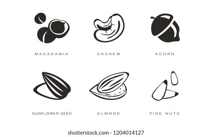 Nuts and seeds icons set, macadamia, cashew, acorn, sunflower seed, almond, pine nut monochrome vector Illustration on a white background