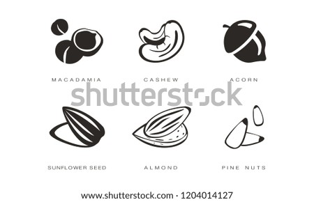 Nuts and seeds icons set, macadamia, cashew, acorn, sunflower seed, almond, pine nut monochrome vector Illustration on a white background