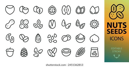 Nuts and seeds isolated icons set. Set of hazelnut, walnut, pumpkin seeds, peanuts, pistachio, sunflower seed, cashew, coffee beans, almond, flaxseed, macadamia, acorn, pine nuts, cocoa vector icon