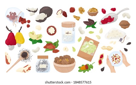 Nueces, semillas aisladas en una colección blanca de ilustraciones vectoriales. Alimentos saludables, almendras orgánicas, nueces, avellanas y cacahuetes. Ropa o dieta vegetariana saludable. Kernels. Nutrición de semillas.