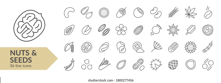 Nuts & seeds line icon set. Isolated signs on white background. Vector illustration. Collection