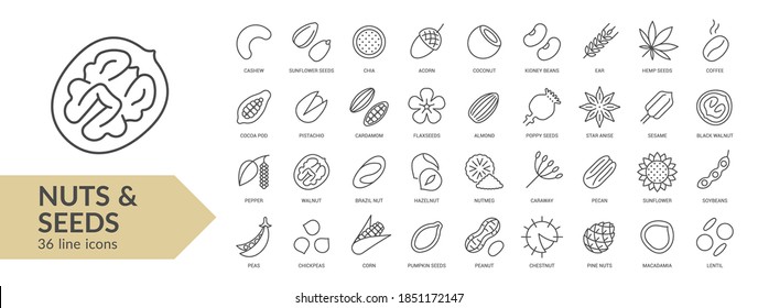 Nuts & seeds line icon set. Isolated signs on white background. Vector illustration
