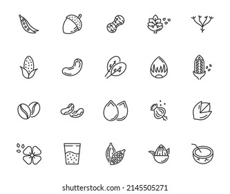 Nuts and seeds line icon set. Coconut hazelnut chestnut almond nuts and lentil bean food pictogram icon