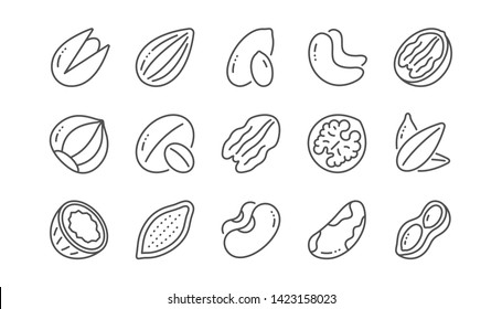 Nuts and seeds line icons. Hazelnut, Almond nut and Peanut. Sunflower seeds, Brazil nut, Pistachio icons. Walnut, Coconut and Cashew nuts. Linear set. Vector