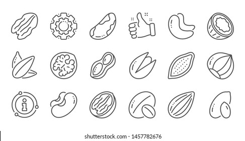 Nuts and seeds line icons. Hazelnut, Almond nut and Peanut. Sunflower seeds, Brazil nut, Pistachio icons. Walnut, Coconut and Cashew nuts. Linear set. Quality line set. Vector