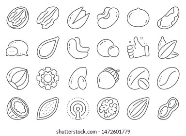 Nuts and seeds line icons. Hazelnut, Almond nut and Peanut. Sunflower and pumpkin seeds, Brazil nut, Pistachio icons. Walnut, Coconut and Cashew nuts. Pecan, peas, macadamia. Line signs set. Vector