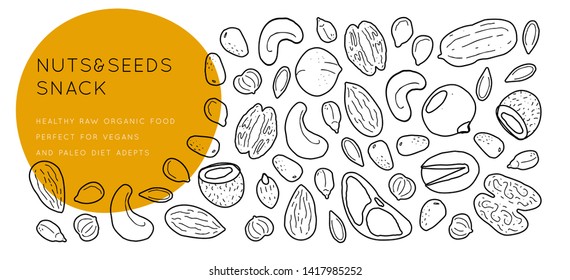 Nuts and seeds  line silhouettes. Vector background horizontal template with place for text. Flyer, booklet advertising and design.