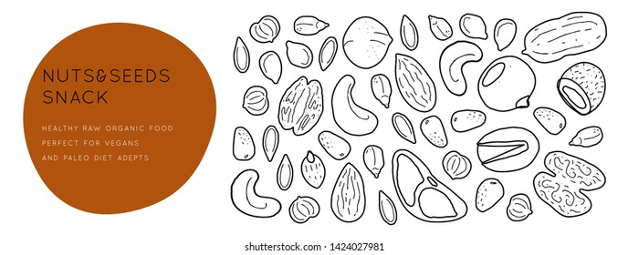 Nuts and seeds  line silhouettes. Vector background horizontal template with place for text. Flyer, booklet advertising and design.