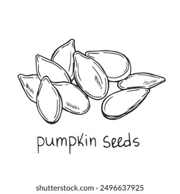 Nuts seeds linear concept. Hand drawn sketch of pumpkin seed with inscription. Graphic element for website. Healthy eating.