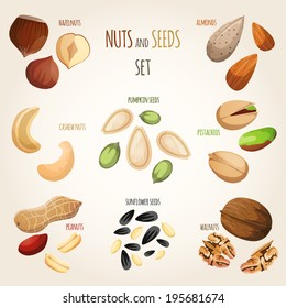 Nuts and seeds mix decorative elements set vector illustration