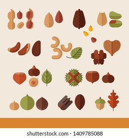 Nuts and seeds mix vector icon set. Peanut, Pistachio, Cashew, macadamia and pine nuts. Flat style, illustration in carton style.