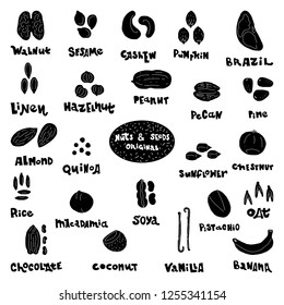 Nuts and seeds monochrome collection of hand drawn vector elements. Illustration made in doodle style. Set of food objects for package, merch and other design. Black and white silhouettes.