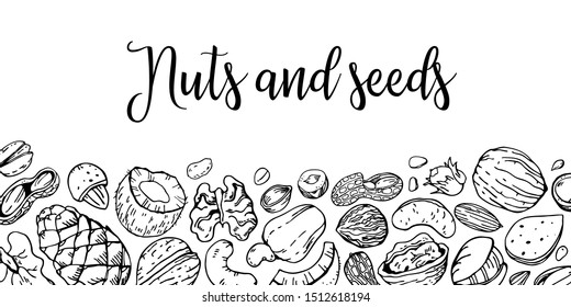 Nuts and seeds on the bottom of the page. Frame design template. Hand drawn vector outline sketch illustration. Black on white background