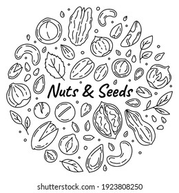 Nuts And Seeds Outline Set Of Vector Icons In The Doodle Style. Walnuts, Macadamia And Peanuts Isolated On A White Background.