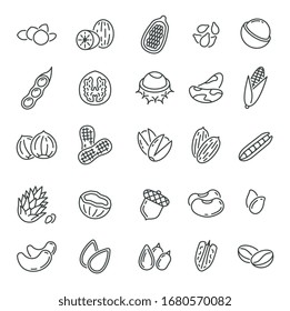 Nuts and seeds. Peanuts icons, quality agriculture product. Hazelnut, cocoa, coconut and almond, pistachio and pea. Vector outline symbols