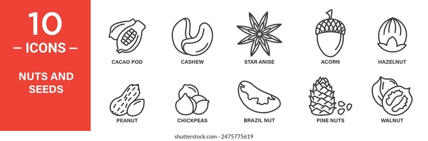 Nuts and seeds related vector icon set includes cacao pod, cashew, star anise, acorn, hazelnut, peanut, chickpeas, brazil nut, pine nuts, walnut, and more icons