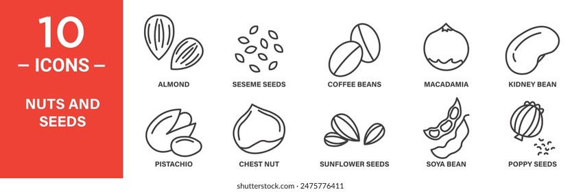 Nuts and seeds related vector icon set includes almond, seseme seeds, coffee beans, macadamia, kidney bean, pistachio, chest nut, sunflower seeds, soya bean, poppy seeds, and more icons