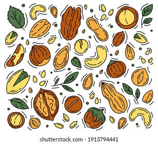 Nuts and Seeds set of vector icons in the Doodle style. Walnuts, macadamia, hazelnuts and peanuts isolated on a white background.