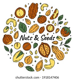 Nuts and Seeds set of vector icons in the Doodle style. Walnuts, macadamia, hazelnuts and peanuts on a white background.