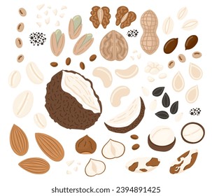 Nuts and seeds set.Walnut, seed, coconut, almond, hazelnut, peanuts dry, pistachio, chickpea, macadamia and sunflower, pumpkin seed. Vegan food ingredients. Vector illustration in doodle style 