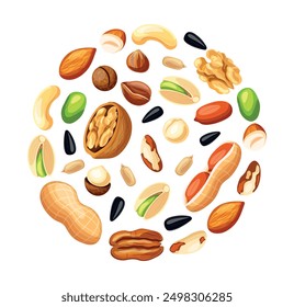 Nueces y semillas en forma de círculo en un estilo de dibujos animados. Ilustración vectorial de deliciosos: nueces, pistachos, nueces, semillas de girasol, almendras, anacardos, cacahuetes, avellanas, nueces de Brasil, nueces de macadamia.