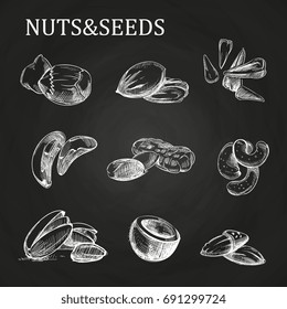Nuts and seeds sketch on chalkboard. Vector nutshell sketch illustration