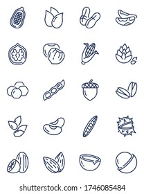Nuts and seeds thin line icons set. Outline acorn, almond, macadamia, chickpea and nutmeg isolated vector illustration collection. Nature and healthy food concept