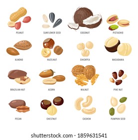 Nuts and seeds.ai Royalty Free Stock SVG Vector and Clip Art