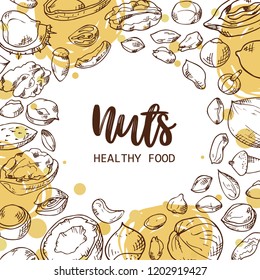 Nuts and seeds vector collection. Hand drawn elements. Objects on white background in sketch style.