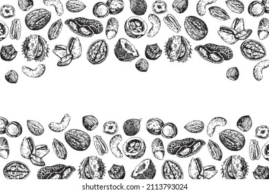 Nuts and seeds. Vector hand drawn objects. Isolated on white background. Great for label, banner, flyer, card, business promotion.