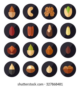 Nuts and seeds vector icons set. Modern flat design.