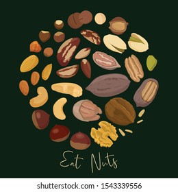 Nuts set with Brazil nut, macadamia, cashew, hazelnut, almond, chestnut, walnut, pistachio, pine nuts and pecans in circle with quote on dark background. Eat nuts. Vector illustration 