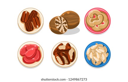 Nuts set, coffee beans, cashews, peanuts, Brazil nuts, sunflower seeds, top view vector Illustration on a white background