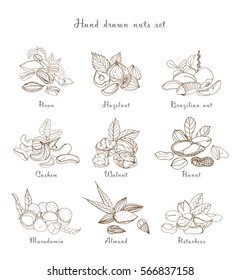 Nuts set, different kinds. Collection with almond, macadamia, pistachio, walnut, cashew, peanut, brazilian, pecan. Contour hand drawn illustration.