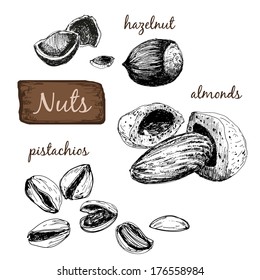 Nuts. Set of hand drawn illustrations.