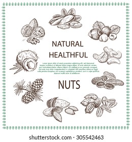 Nuts set. Hand drawn vintage illustration. Natural and healthful nuts background. Line art style.