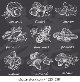 Nuts set on chalkboard. Hand drawn vintage illustration. Natural and healthful nuts background. Line art style.