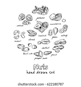 Nuts set. Useful for restaurant identity, packaging, menu design and interior decorating.