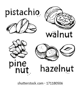 Nuts set, vector collection on a white background