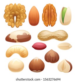 Nuts set vector illustration. Healthy food icons.