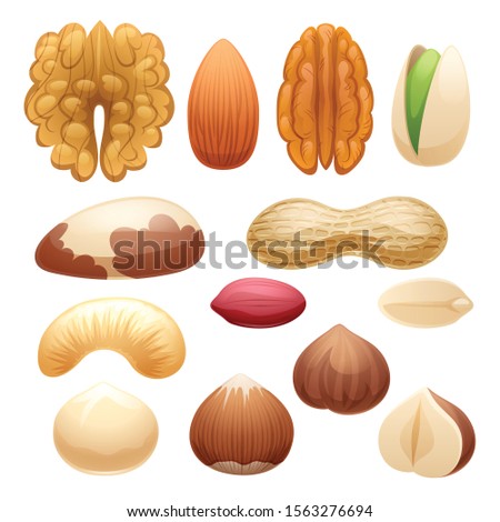 Nuts set vector illustration. Healthy food icons.