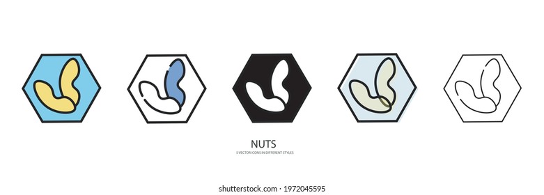 Nuts set vector type icon 