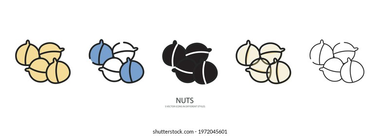 Nuts set vector type icon 